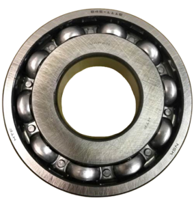 300-19